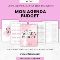 mon agenda budget, budget planner à imprimer enveloppes budget