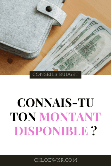 connais-tu ton reste à vivre, comment calculer le montant disponible pour mieux gérer son budget