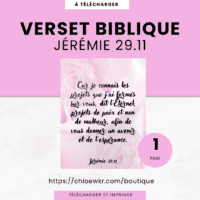 verset biblique en français jérémie 29.11