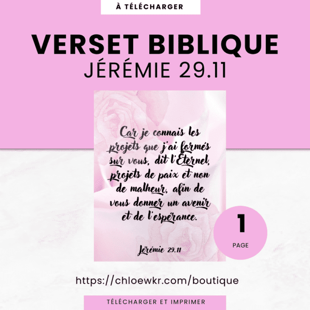 verset biblique en français jérémie 29.11