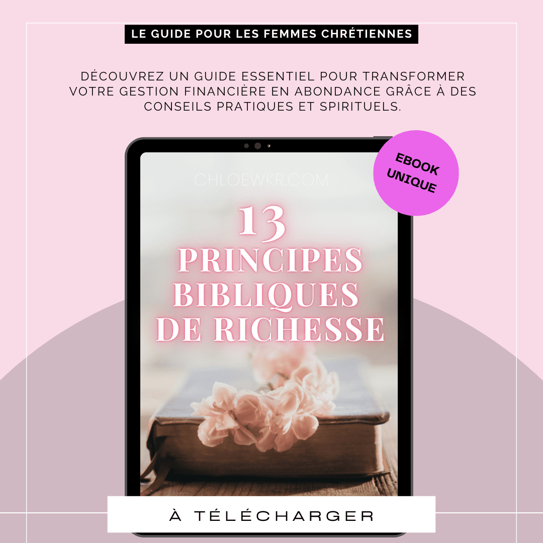 13 PRINCIPES BIBLIQUES DE RICHESSE EBOOK - CHLOE WKR