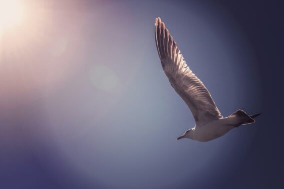 Comment gérer son budget avec le Saint-Esprit