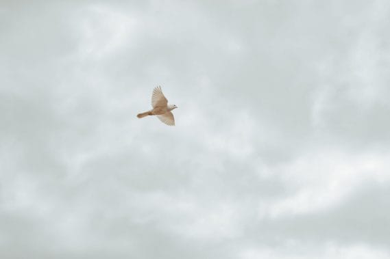 Guidées par l’Esprit discerner et transformer vos finances