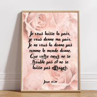 verset biblique jean 14.27